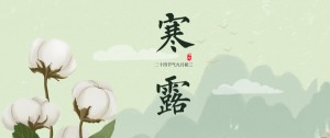 二十四節氣 | 寒露生涼意，秋日暖人心