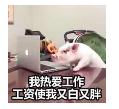 鵬博十二時(shí)辰之營(yíng)運(yùn)部篇